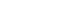 Webwise Business White - Logo